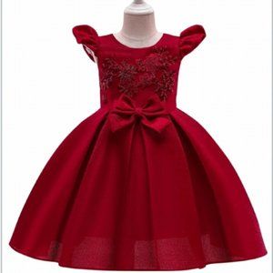 Precious Darling Embroidered Princess Dress